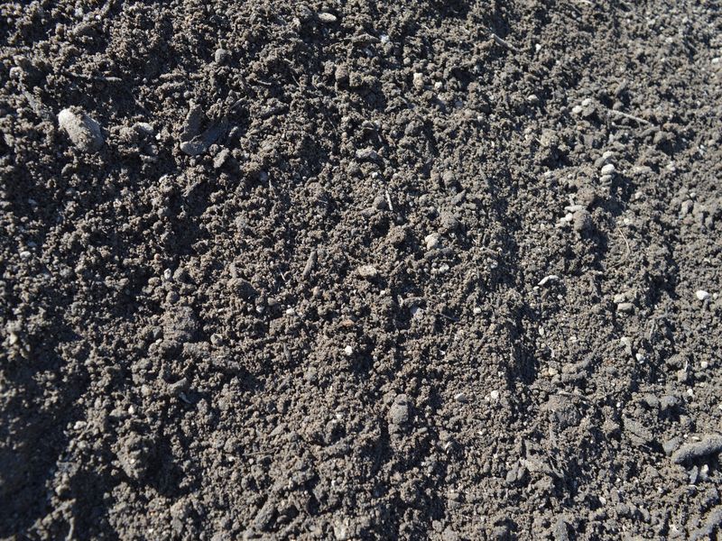 Compost at the Mulch N' More yard in Exeter, Rhode Island