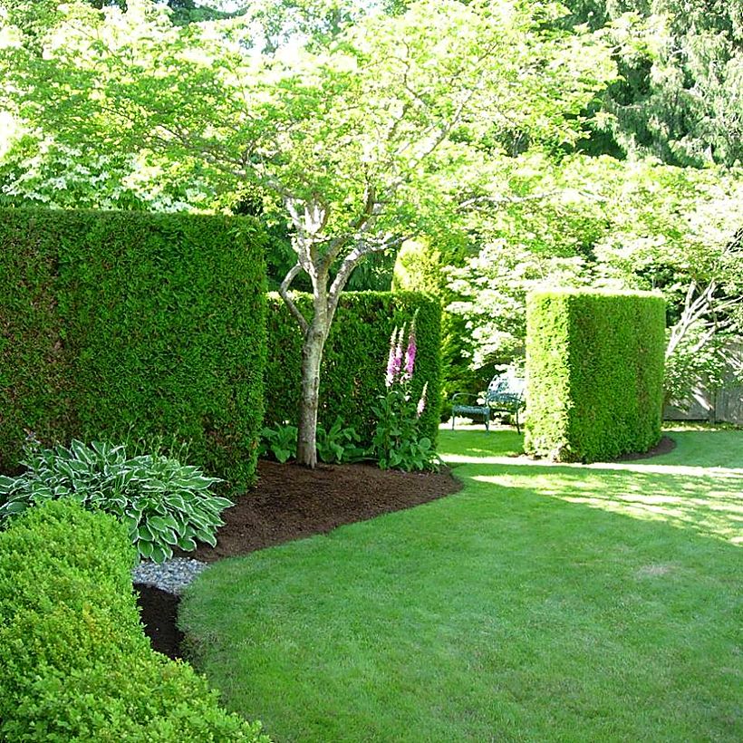 Freshly mulched beds and clipped hedging around a Rhode Island lawn