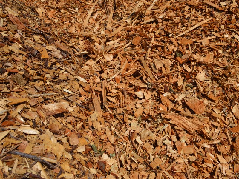 Wood Chips — Natural at the Mulch N' More yard in Exeter, Rhode Island