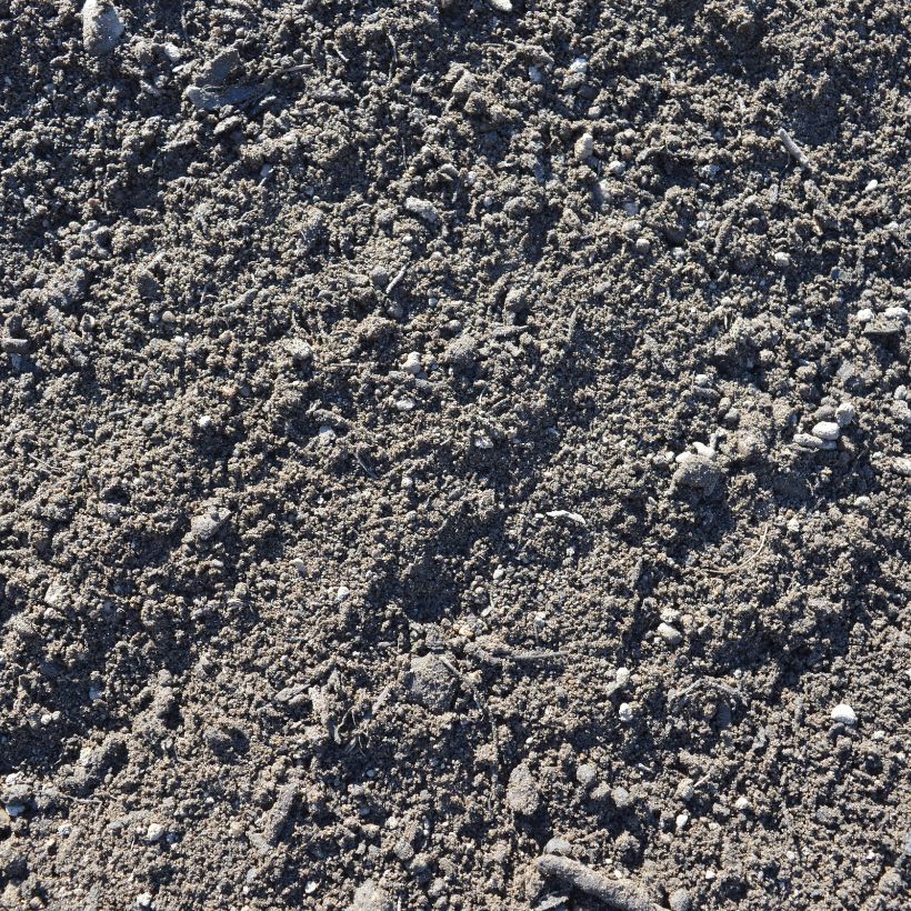 Screened Loam at the Mulch N' More yard in Exeter, Rhode Island